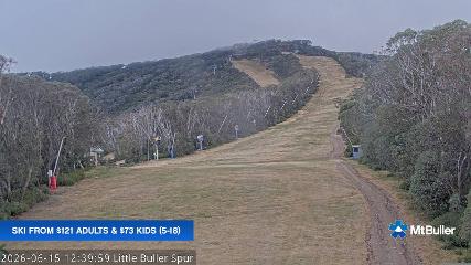 Mt. Buller: Little Buller (mtbuller.com.au)