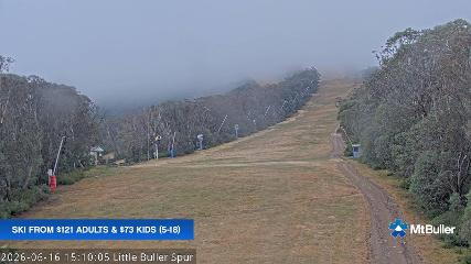 Mt. Buller: Little Buller (mtbuller.com.au)