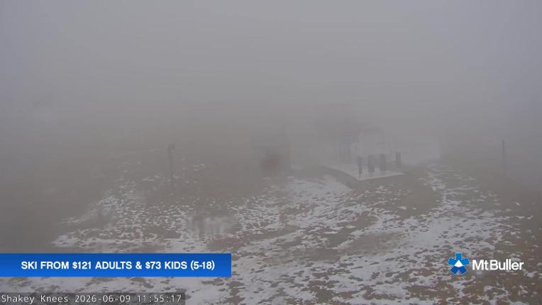 Webcam Mt. Buller: Shakey Knees