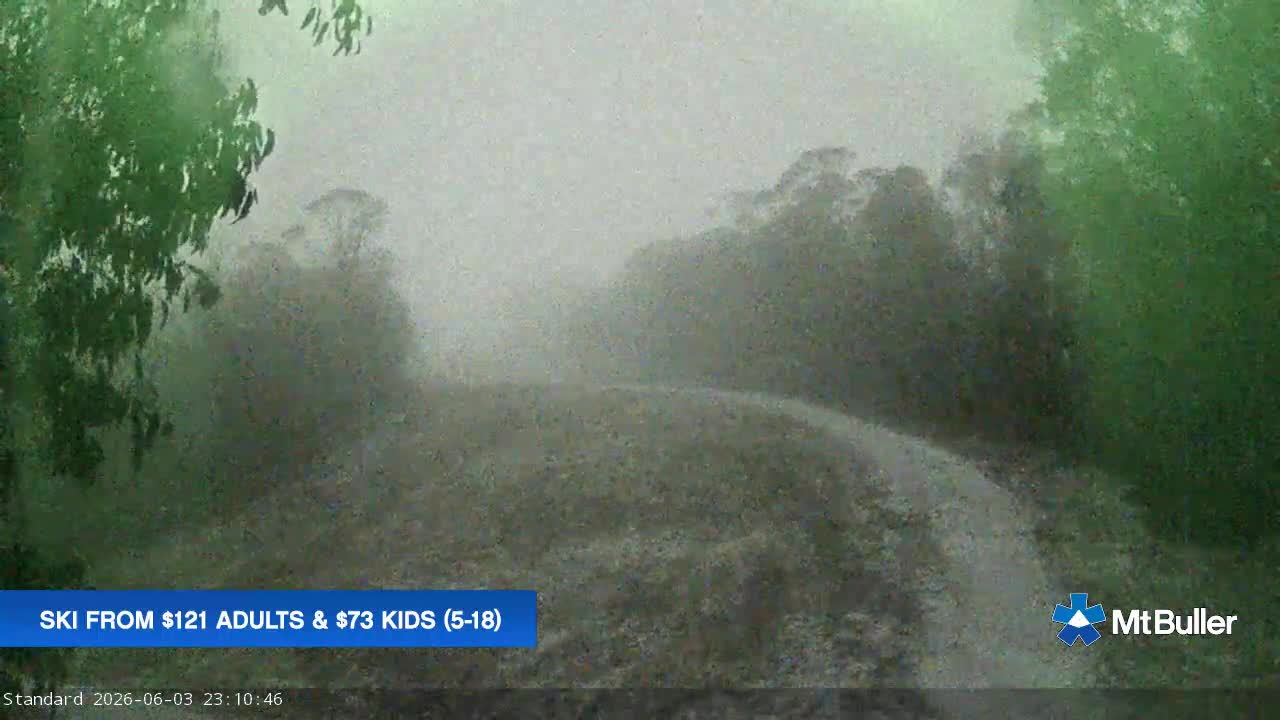 Webcam Mt. Buller: Standard Run