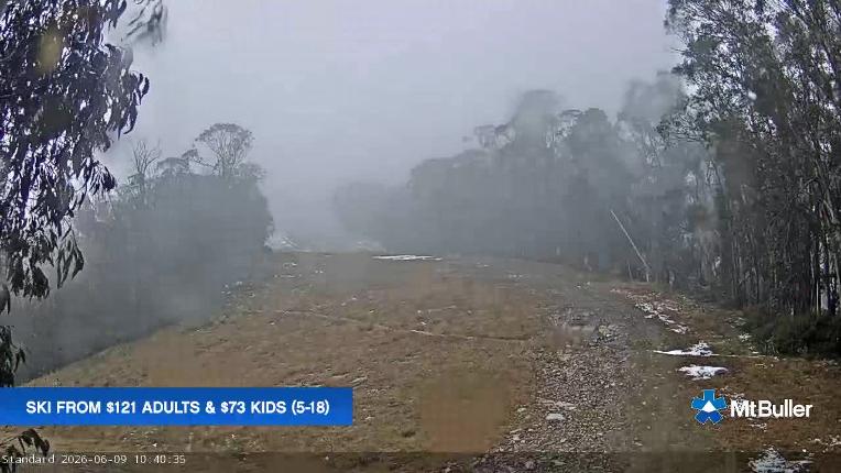 Webcam Mt. Buller: Standard Run