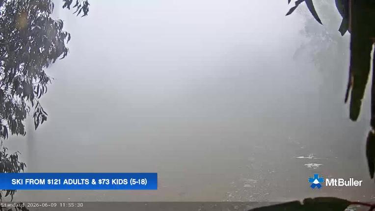 Webcam Mt. Buller: Standard Run