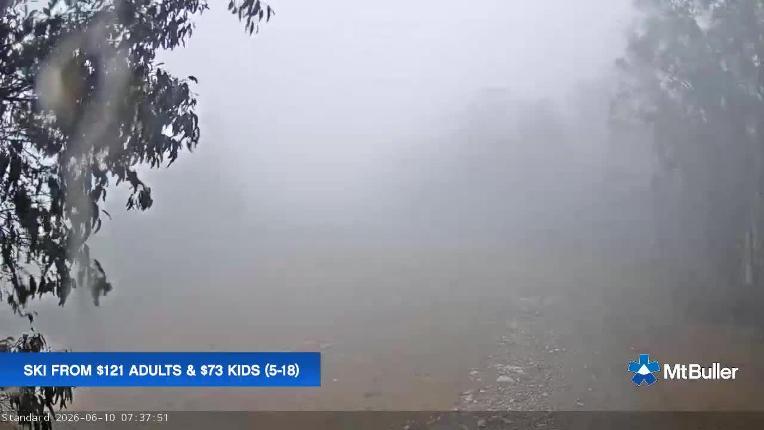 Webcam Mt. Buller: Standard Run