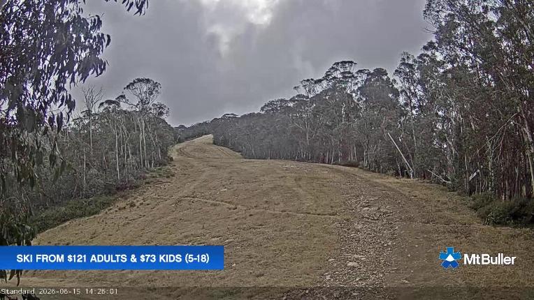 Webcam Mt. Buller: Standard Run