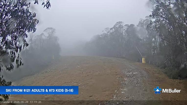 Webcam Mt. Buller: Standard Run