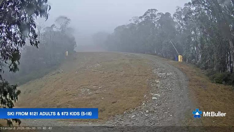 Webcam Mt. Buller: Standard Run