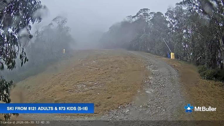 Webcam Mt. Buller: Standard Run