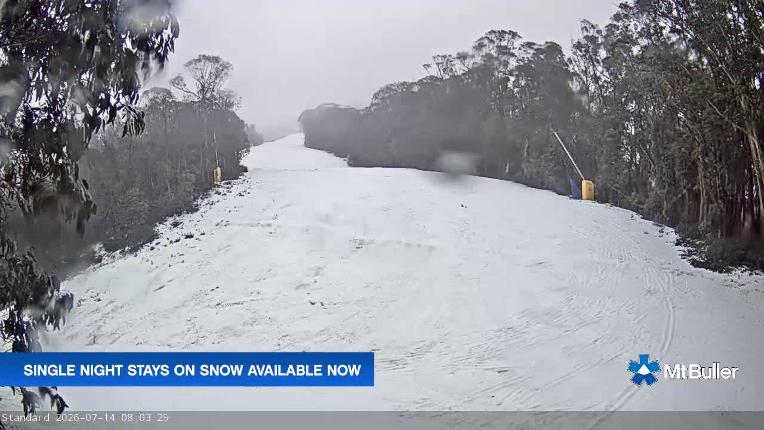 Webcam Mt. Buller: Standard Run