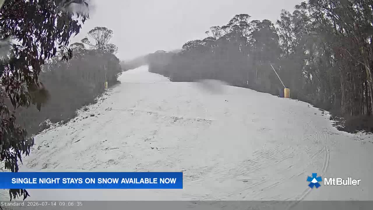 Webcam Mt. Buller: Standard Run