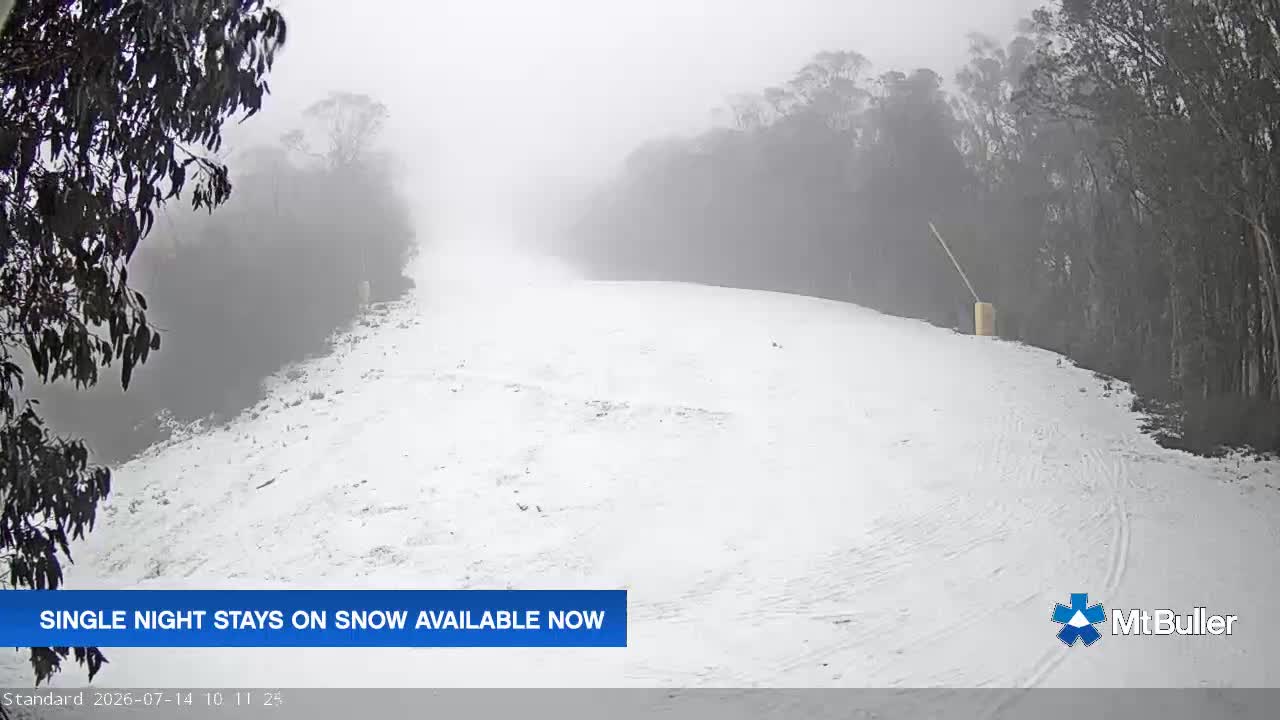Webcam Mt. Buller: Standard Run