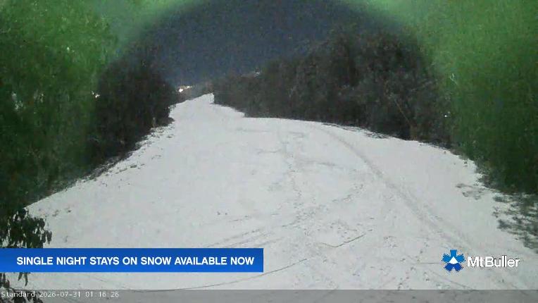 Webcam Mt. Buller: Standard Run