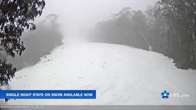 Webcam Mt. Buller: Standard Run