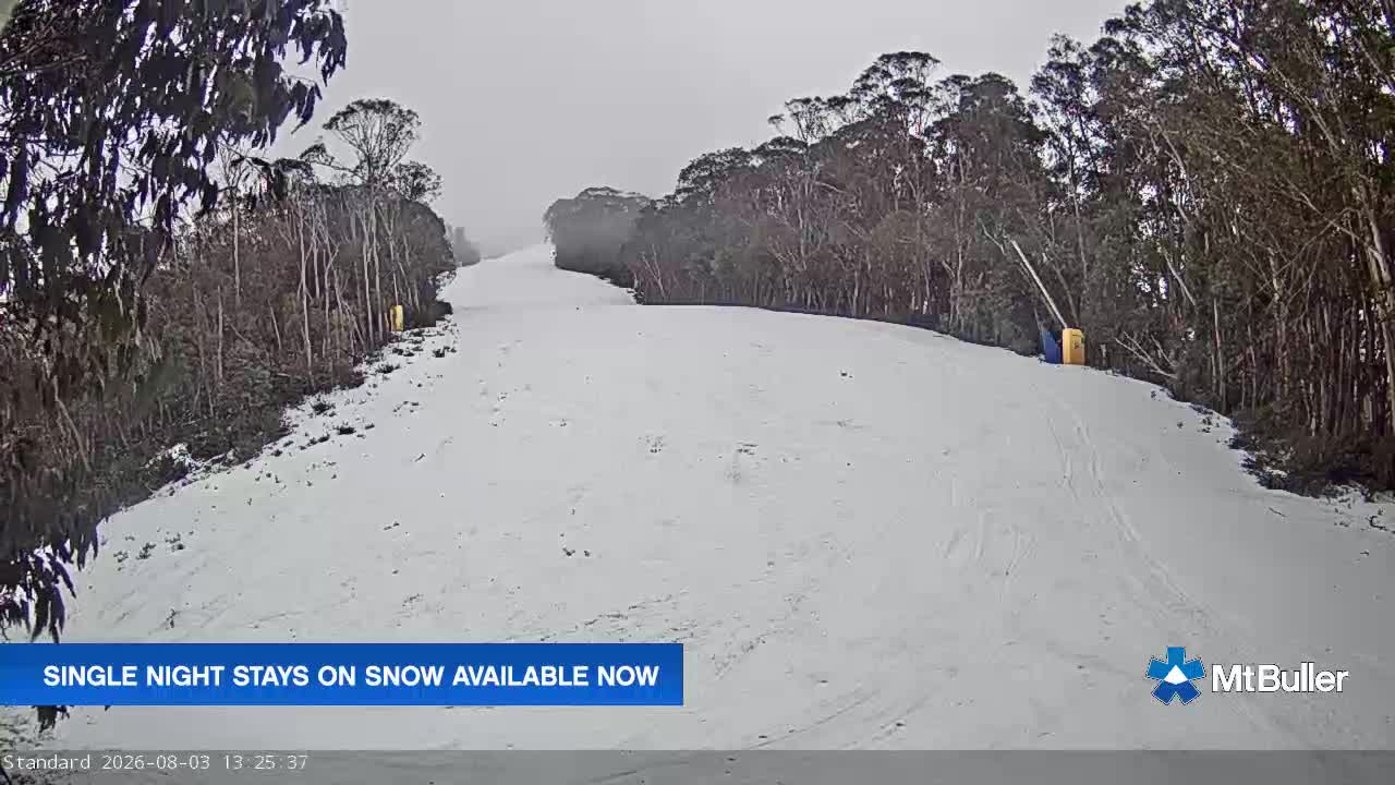 Webcam Mt. Buller: Standard Run