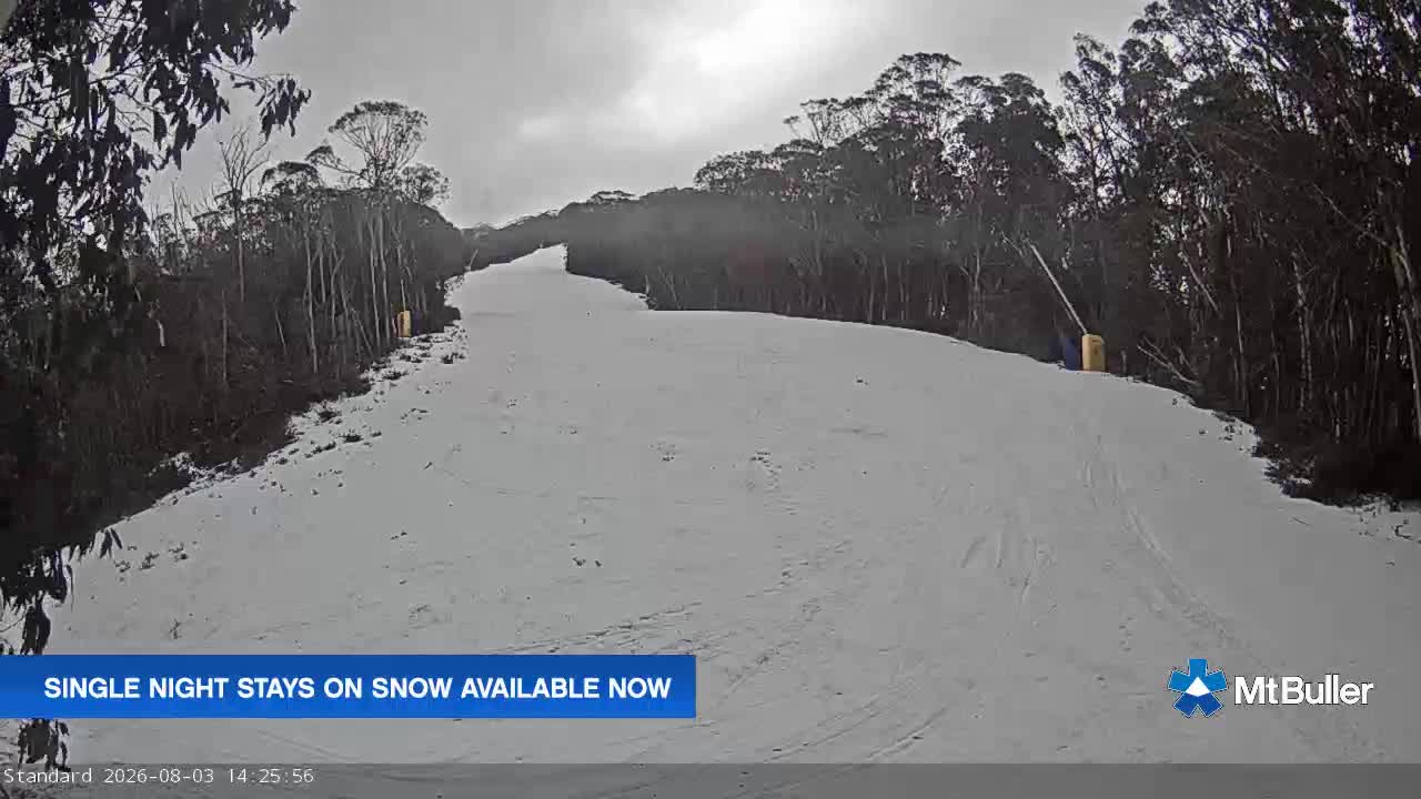 Webcam Mt. Buller: Standard Run