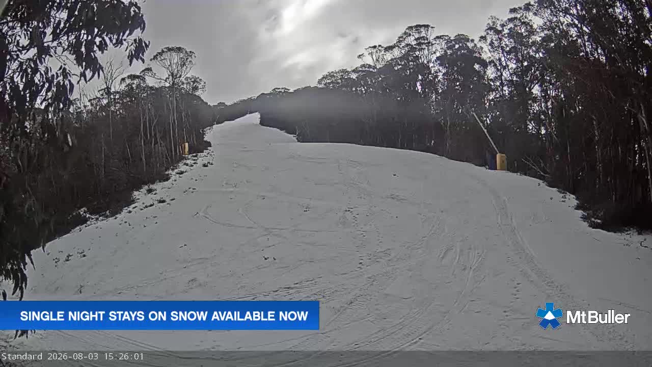 Webcam Mt. Buller: Standard Run