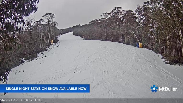 Webcam Mt. Buller: Standard Run