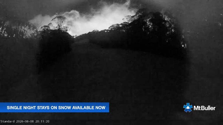 Webcam Mt. Buller: Standard Run