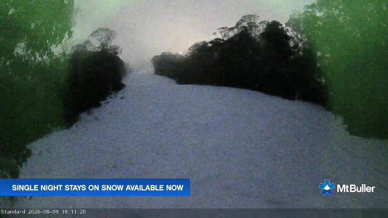 Webcam Mt. Buller: Standard Run