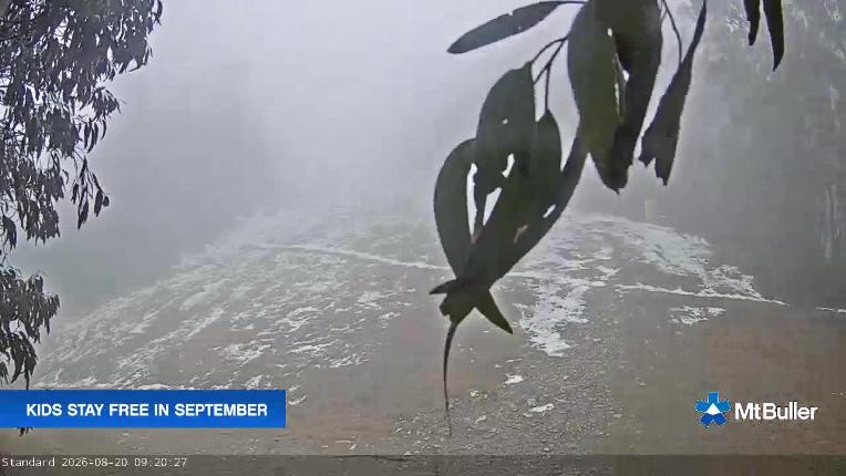 Webcam Mt. Buller: Standard Run