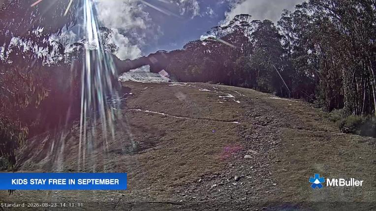 Webcam Mt. Buller: Standard Run