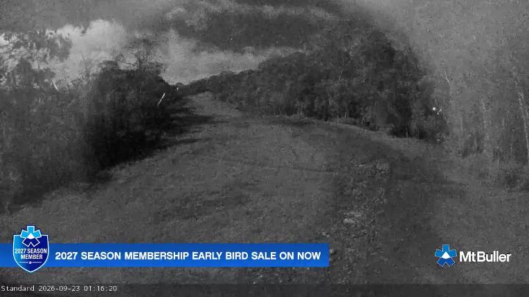 Webcam Mt. Buller: Standard Run