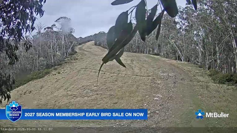 Webcam Mt. Buller: Standard Run