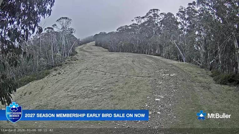 Webcam Mt. Buller: Standard Run