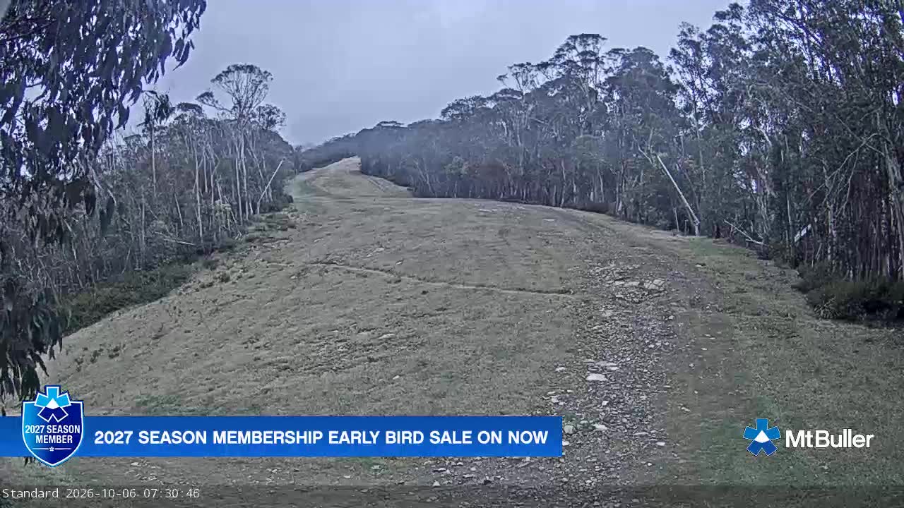 Webcam Mt. Buller: Standard Run