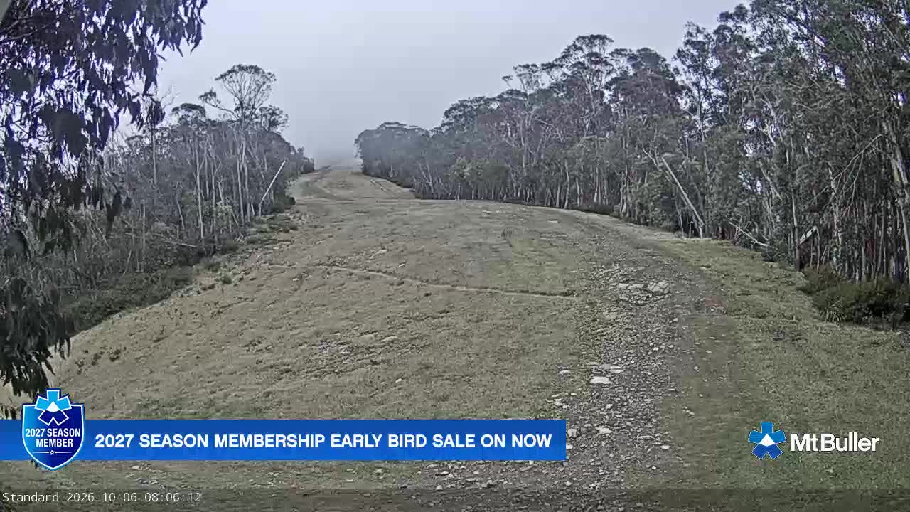 Webcam Mt. Buller: Standard Run