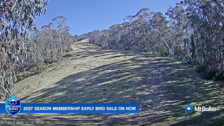 Webcam Mt. Buller: Standard Run