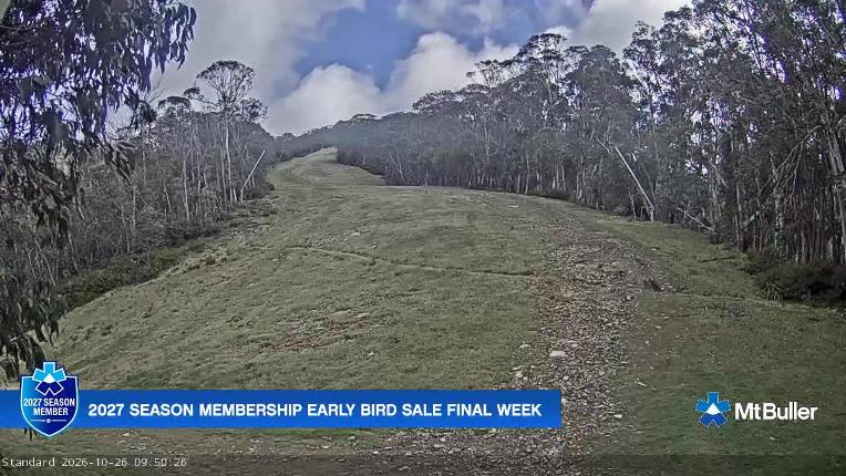 Webcam Mt. Buller: Standard Run