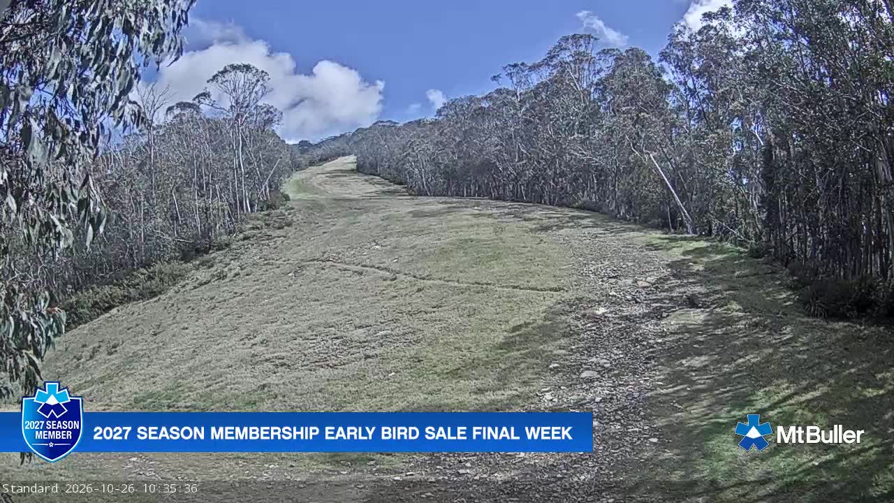 Webcam Mt. Buller: Standard Run