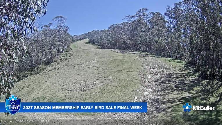 Webcam Mt. Buller: Standard Run