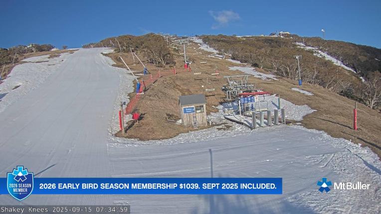 Webcam Mt. Buller: The fox