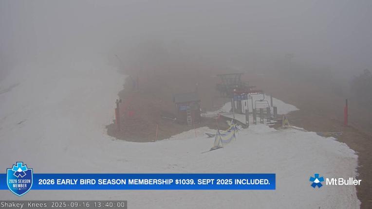 Webcam Mt. Buller: The fox