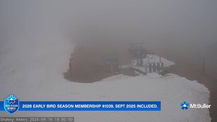 Webcam Mt. Buller: The fox