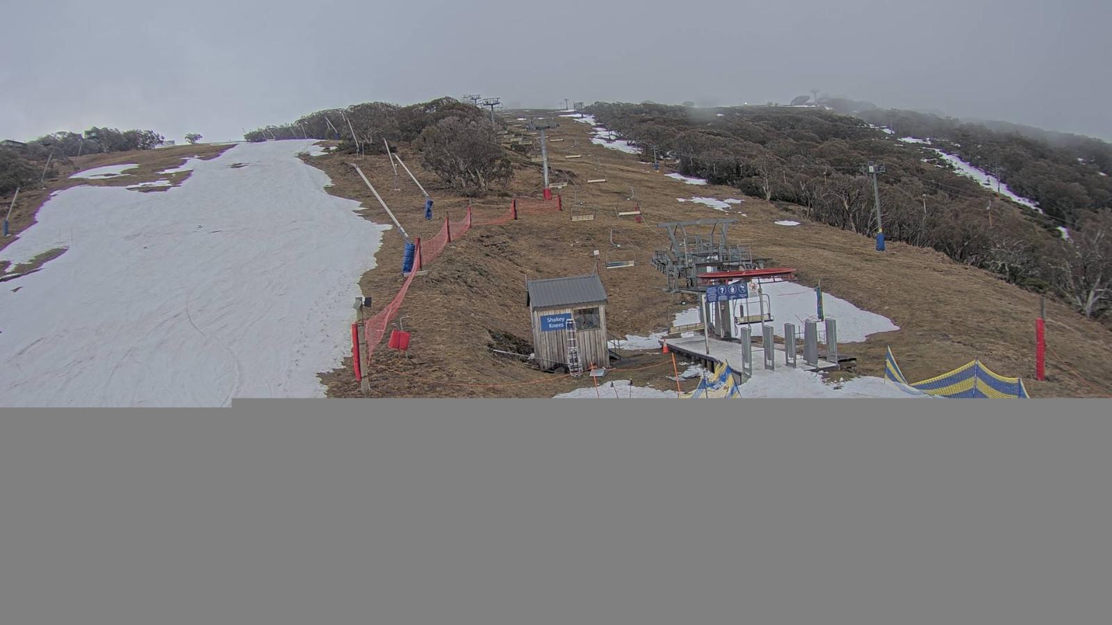 Webcam Mt. Buller: The fox