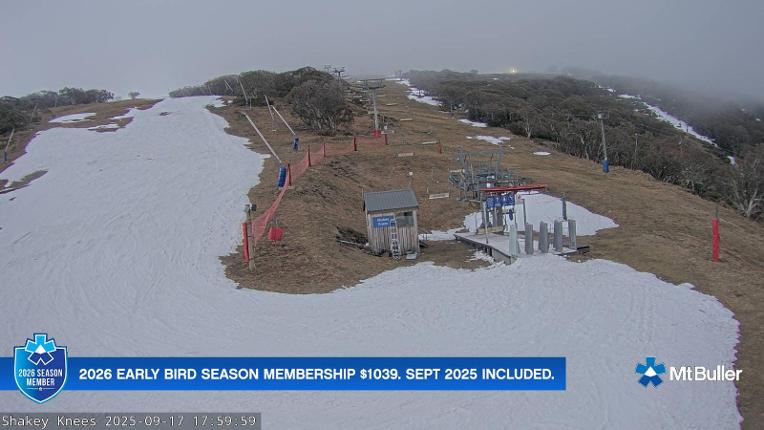 Webcam Mt. Buller: The fox