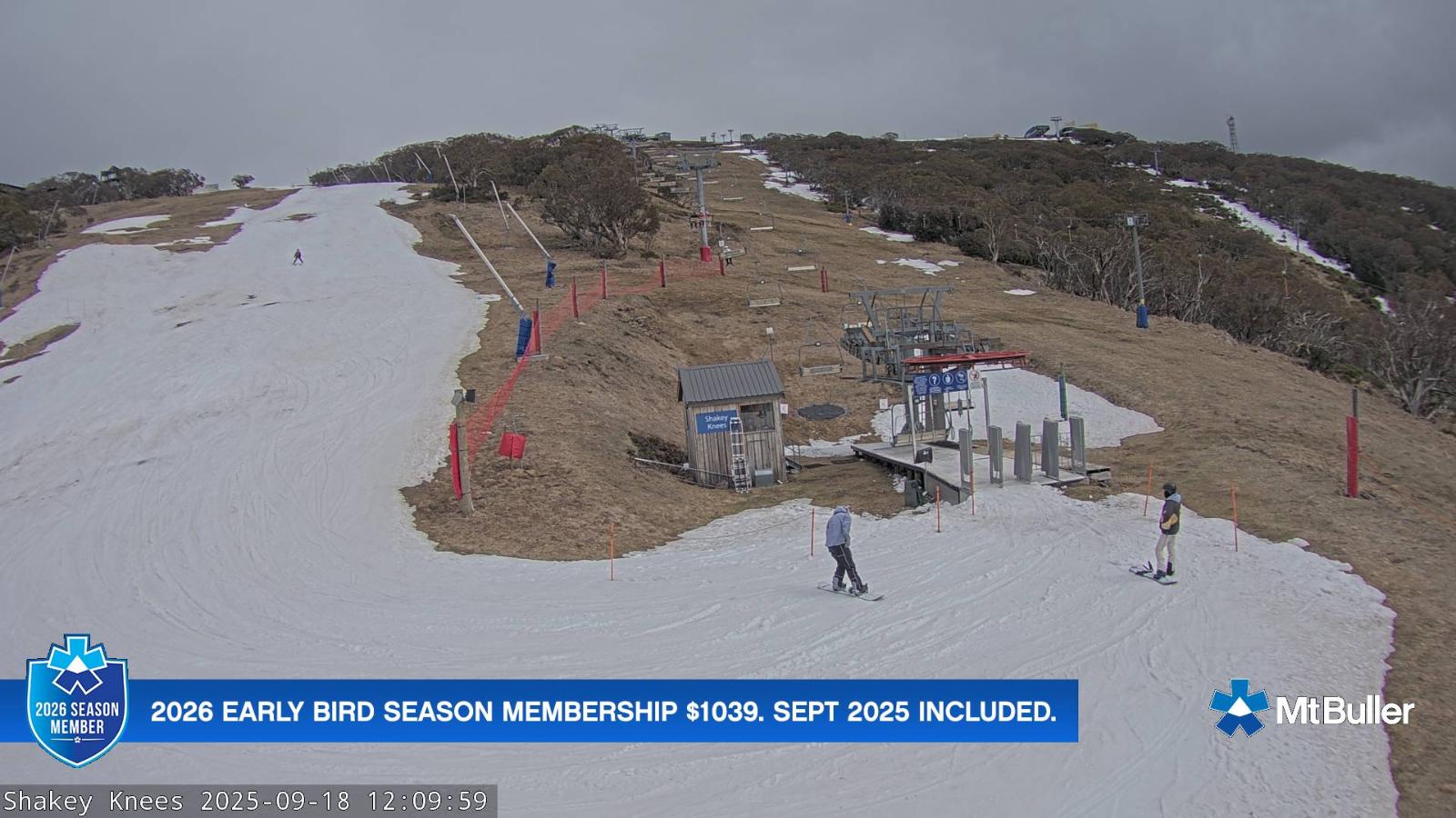 Webcam Mt. Buller: The fox