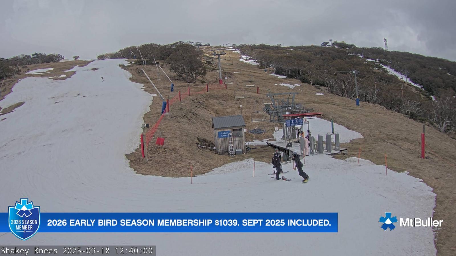 Webcam Mt. Buller: The fox