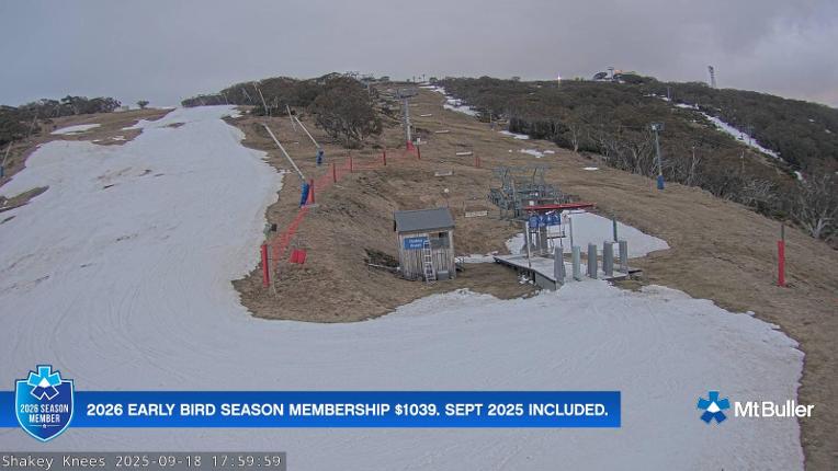Webcam Mt. Buller: The fox