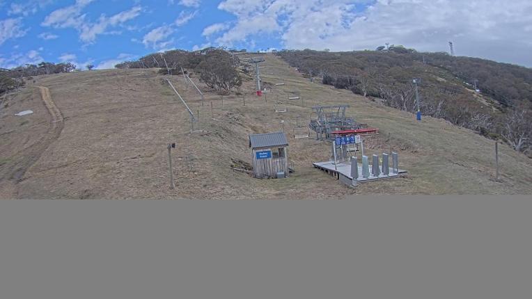 Webcam Mt. Buller: The fox