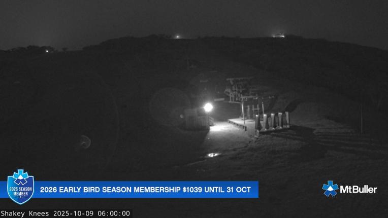 Webcam Mt. Buller: The fox