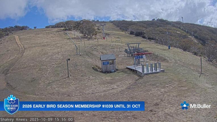 Webcam Mt. Buller: The fox