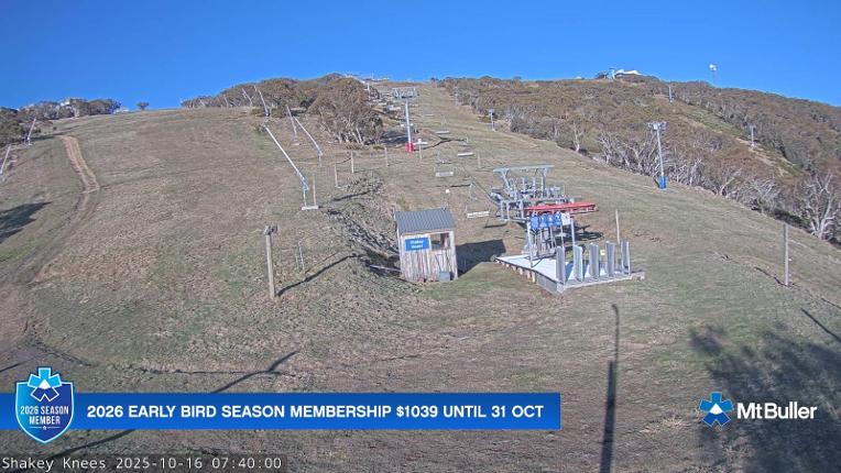 Webcam Mt. Buller: The fox