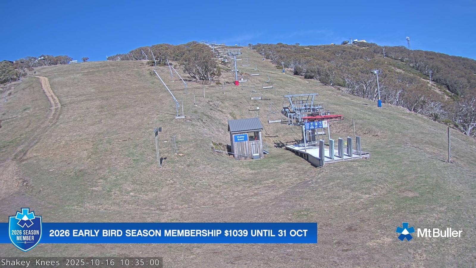 Webcam Mt. Buller: The fox