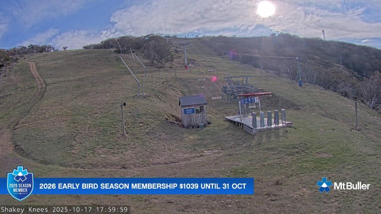 Webcam Mt. Buller: The fox