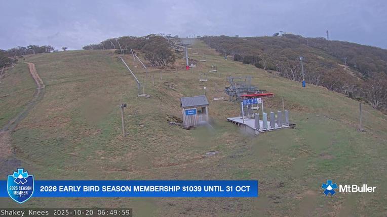 Webcam Mt. Buller: The fox