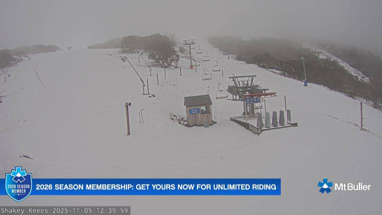 Webcam Mt. Buller: The fox