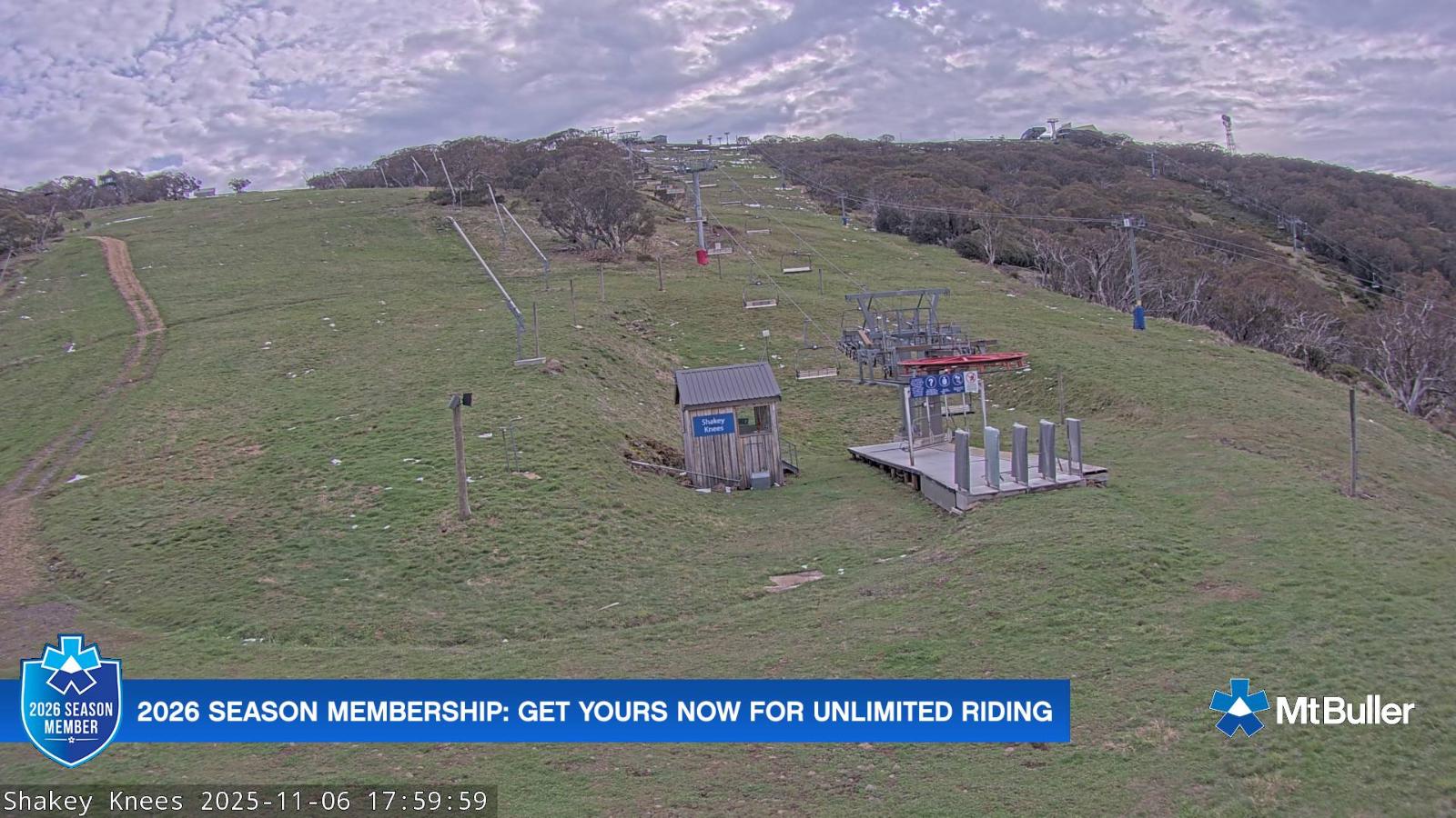 Webcam Mt. Buller: The fox